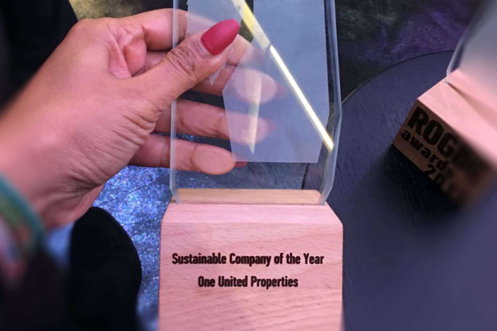 One United Properties awarded by RoGBC – Green Awards: ”Sustainable Company of the Year 2017”