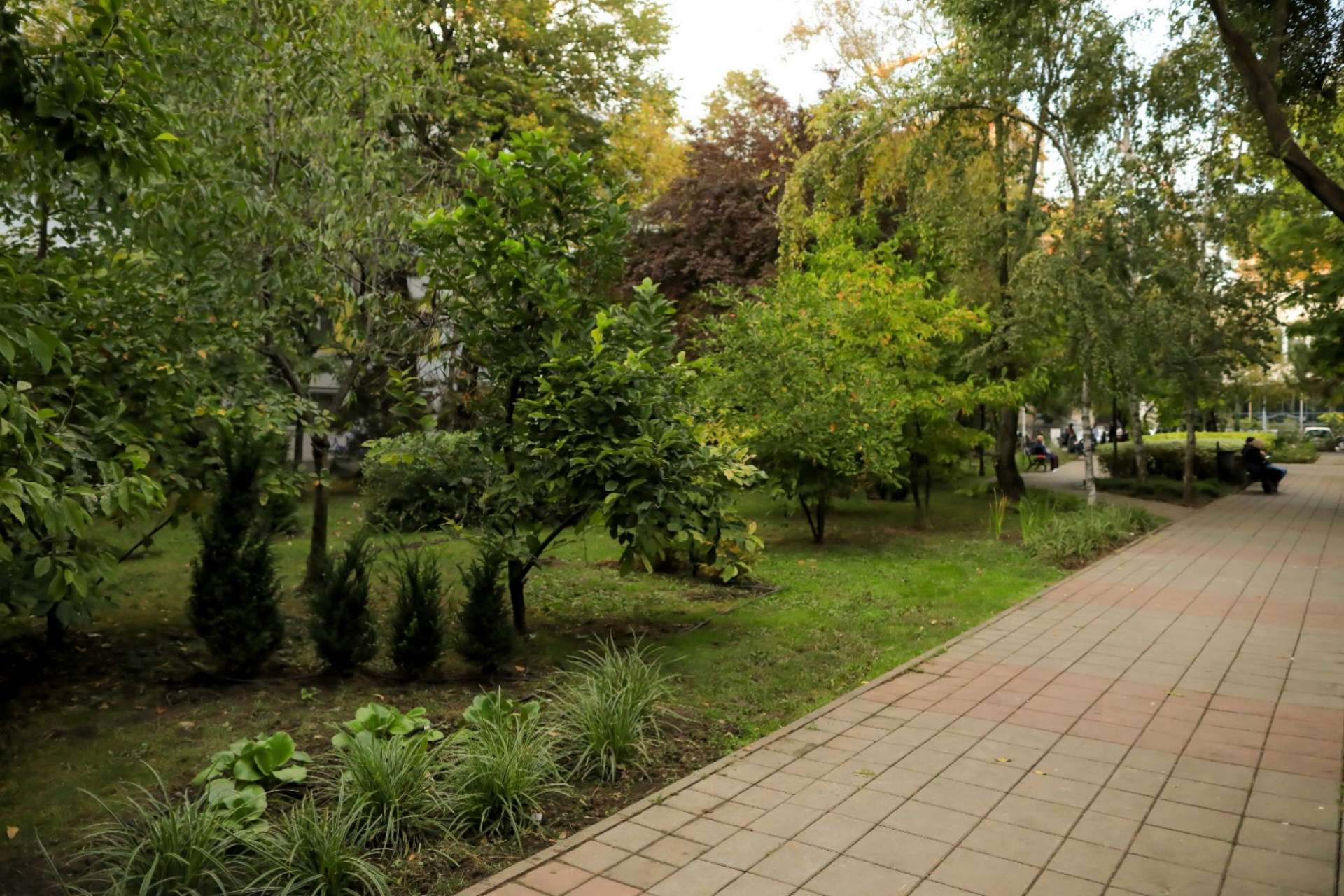 One United Properties and Auchan Romania have invested 178,000 EUR in Automatica park, near One Floreasca City
