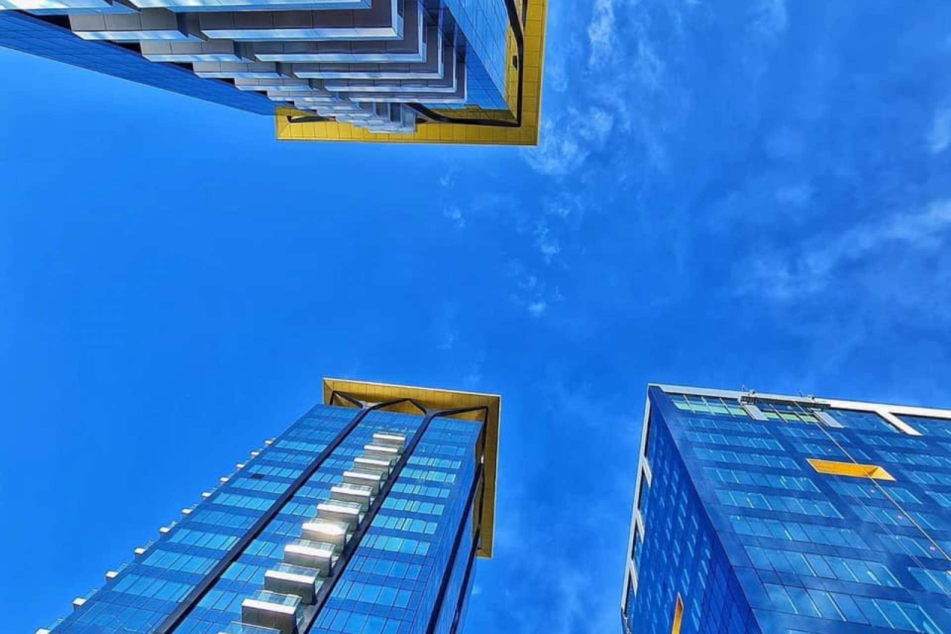 An investment company controlled by Daniel Dines acquired 5% of One United Properties shares