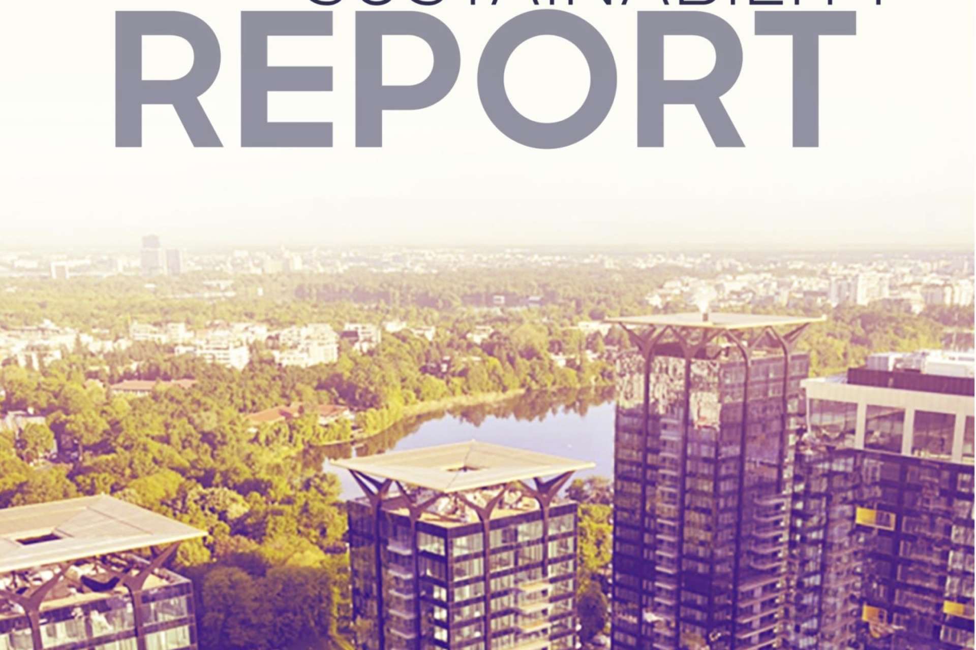 2020 Sustainability Report