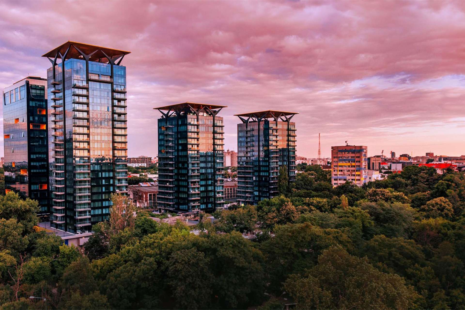 One United Properties înregistrează o cifră de afaceri consolidată de 813,2 milioane de lei și un profit brut de 299,7 milioane de lei în S1 2025