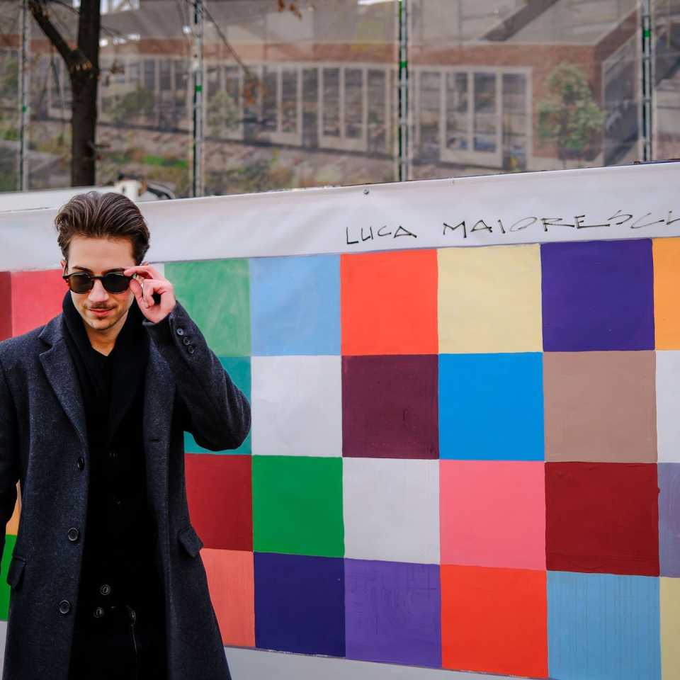 Maiorescu Luca 3